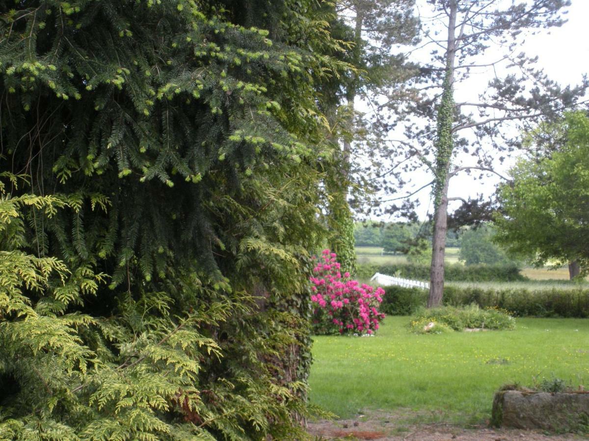 Le Domaine Du Mijarnier Bed & Breakfast Montbeugny Exterior foto